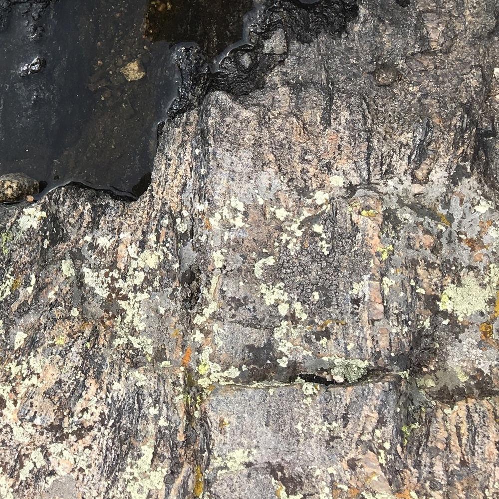 Meet your Posher, Mel